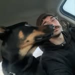 Andrew Stamps - @stamps_c6 - Instagram