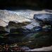 Andrew Starkey - Facebook