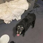 Andrew Starkey - @starkey_andrew - Instagram