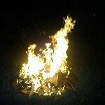 Andrew Steadman - @regular_andy - Instagram