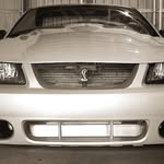 Andrew Steffler - @andrewsteffler - Instagram