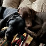 Andrew Steinbrecher - @andrewsteinbrecher - Instagram