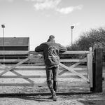 Andrew Stennet - @andrewstennettdressage - Instagram