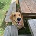Drew Stolp - Facebook
