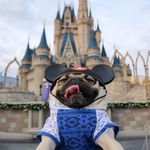 Andrew Stoneking - @stoneking07 - Instagram