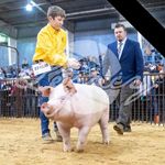 Andrew Stoner - @andrewstoner58 - Instagram