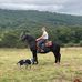 Andrew Strauser - Facebook