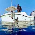 Andrew Strong - @stoppit_fishin - Instagram