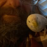 Andrew Strong - @strong6899 - Instagram