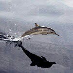 Andrew Stump - @stumpsurf - Instagram