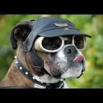 Andrew Stump - @stump8006 - Instagram