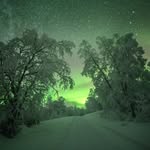 Andrew Stump - @aestump14 - Instagram