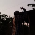 Andrew Styles - @andrewlubega678 - Instagram