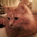 Andrew Sugarman - Facebook