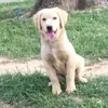Andrew_suman - @andrew_suman - TikTok