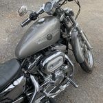 Andrew Swartz - @freeliving3021 - Instagram