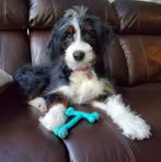 Andrew Sweetman - Facebook