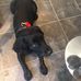 Andy Sweetman - Facebook
