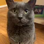 andrew syme - @andrews_finsta05 - Instagram