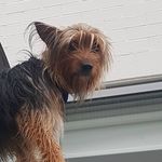 Andrew Syme - @syme.installations - Instagram