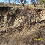 Andrew Tabarez - @tabarezandrew - Instagram