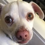 Andrew Tabbert - @andrew_the_dweeb - Instagram