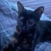 Andrew Talbert - Facebook