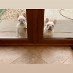 Andrew Taff - @taff.andrew - Instagram