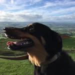 Dave Andrew - @dave_taff_andrew_67 - Instagram