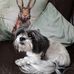Andrew Tagg - Facebook