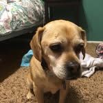 Andrew Tagg - @andrewtagg57 - Instagram