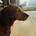 Andy Tanabe - Facebook