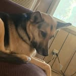 Andrew Tandy - @0neshot101 - Instagram