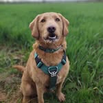 Andrew Tank Charlton - @t4nk.82 - Instagram