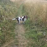 Andrew Tank Gillings - @andrew.gilling1 - Instagram