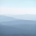 Andrew Tanzer - Facebook