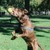 Andrew Tapley - Facebook