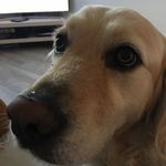 Andrew Tasker - @rewstar01 - Instagram
