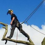Andrew Tasker - @andrew.tasker.165 - Instagram