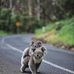 Tasso Andrew - Facebook