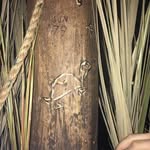 Andrew Turteltaub - @therealandrewturteltaub - Instagram