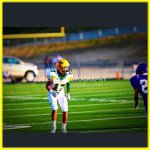 Andrew Tavares - @andrewtavaress - Instagram
