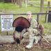 Drew Teepe - Facebook