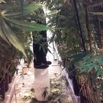 Andrew teets - @teetsandtrees - Instagram