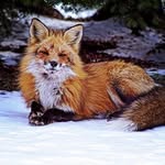 Andreas Tegethoff - @andreastegethoff - Instagram