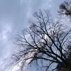 Andrew Tejeda - @andrew.tejeda2 - TikTok