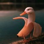 Andrew_tempest - @andrewtempest0 - Instagram