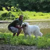 Andrew Tilley - @andrewtilley71 - TikTok