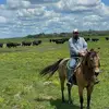 Andrew Tinney - @andrew.tinney - TikTok