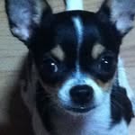Andrew Toh - @andrew.toh.182 - Instagram